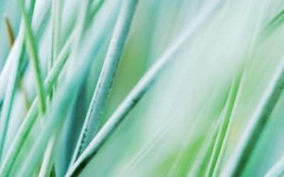 Schmerzen durch Stress vermeiden!