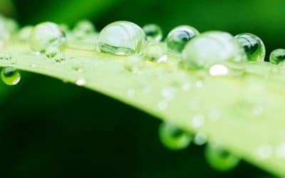 Deine Gesundheit machst du selbst - deine Krankheit auch