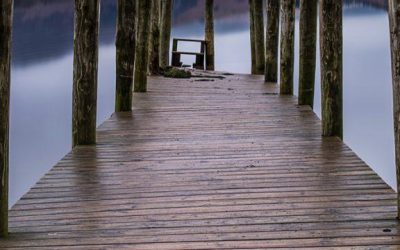 Was hilft dir bei einer Krebs-Therapie?