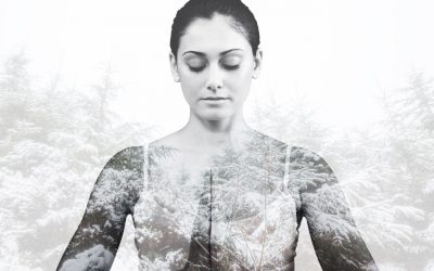 Was bringt eigentlich Ayurveda?