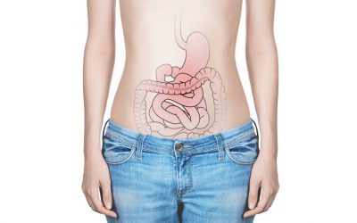 Wie wichtig ist Dein Bauch-Gehirn?