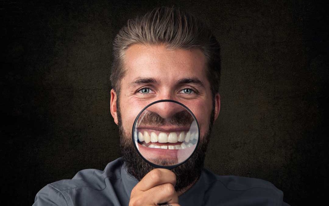 Zahn – Organ – Verbindungen